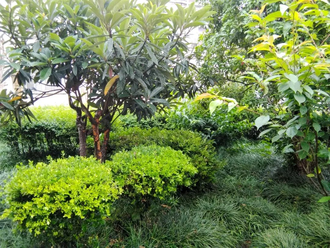 风景好的地方江阴,江阴好风景