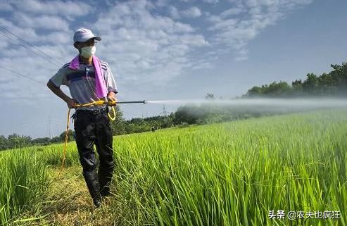 为何说夏至三伏数头伏,夏至三庚入伏是指几天