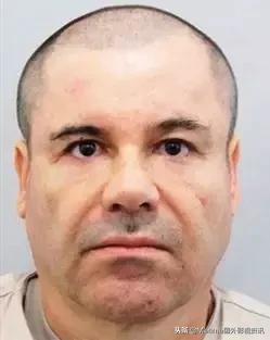 毒枭墨西哥电视剧,毒枭墨西哥第一季哪里看到