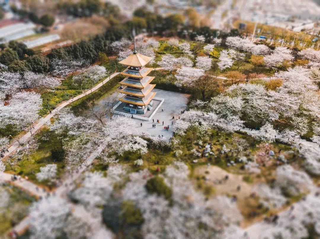 中国魂武汉,什么是武汉之魂