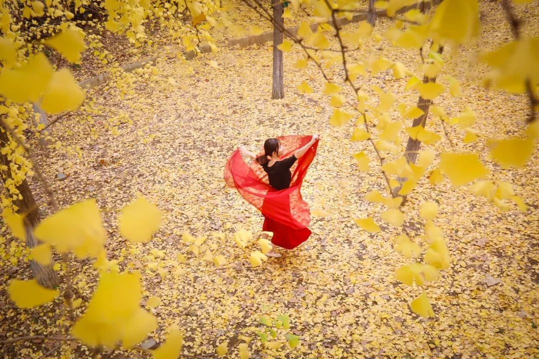 神仙颜值学校,神仙颜值校园