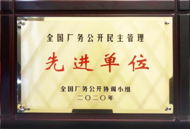 中国华洋集团简介,华洋集团有哪些公司