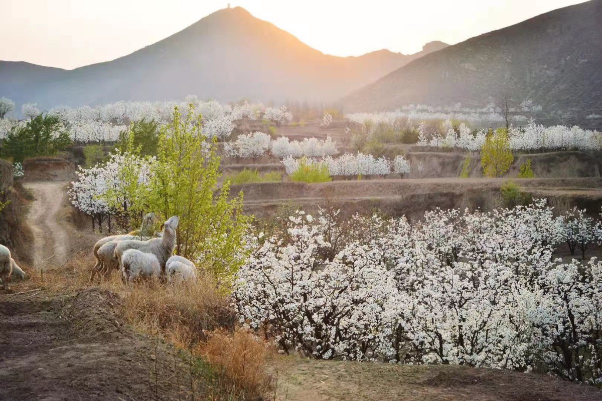 同河谷，英雄谷，正气谷丨李旭丰