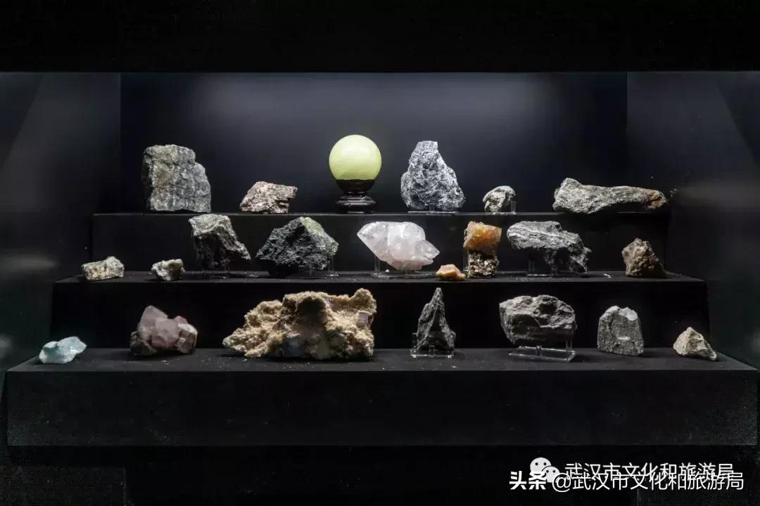 武汉奇特博物馆,武汉奇妙博物馆