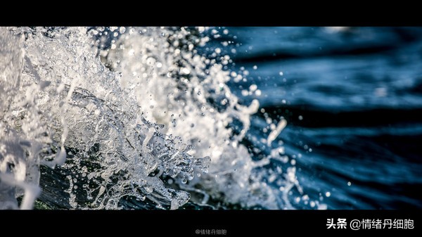 可以去玩一整天的地方,能玩一两天的地方