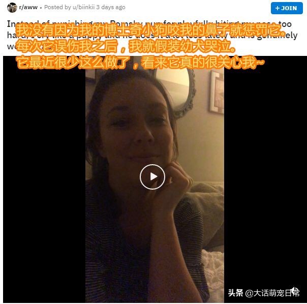 狗狗总是咬自己的脚怎么办,狗狗总是咬主人的脚怎么训练