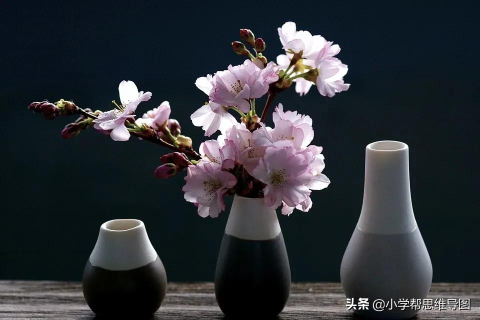 我最喜欢的一本书作文摘抄,我最喜欢的一本书作文评语