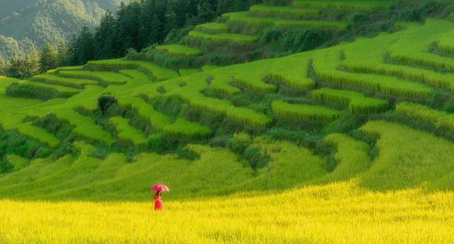 广东最值得去的十个地方,广东梅州桥溪古韵值得一去吗