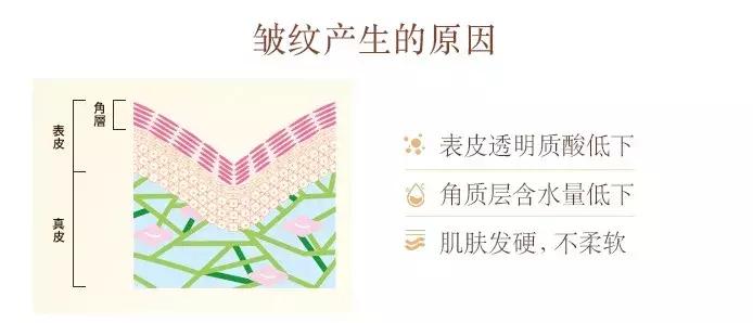 资生堂口碑最好的4款,在日本销量高产品