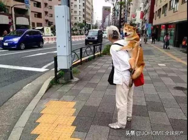 「日本●移民」为什么一直给你推荐小日子过的不错的日本?