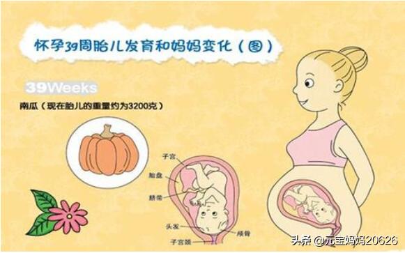 胎儿发育40周妈妈身体变化,39岁孕妈妈应该注意什么