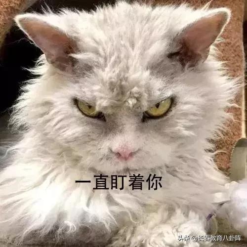 高中生爱玩游戏怎么办,高中生爱玩怎么办