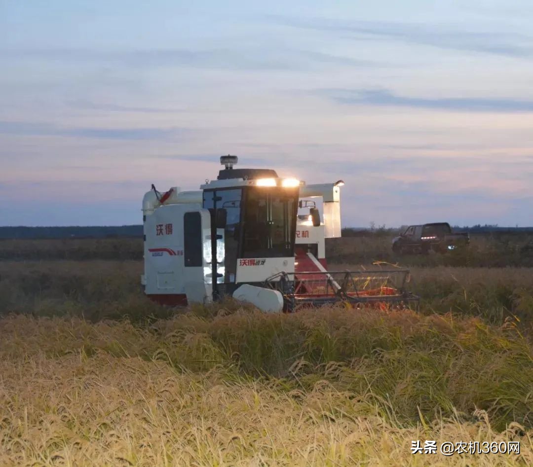 久保田怎么赚钱,约翰农场如何挣钱
