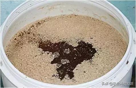 自制环保垃圾酵素危害巨大,厨余环保酵素的制作方法