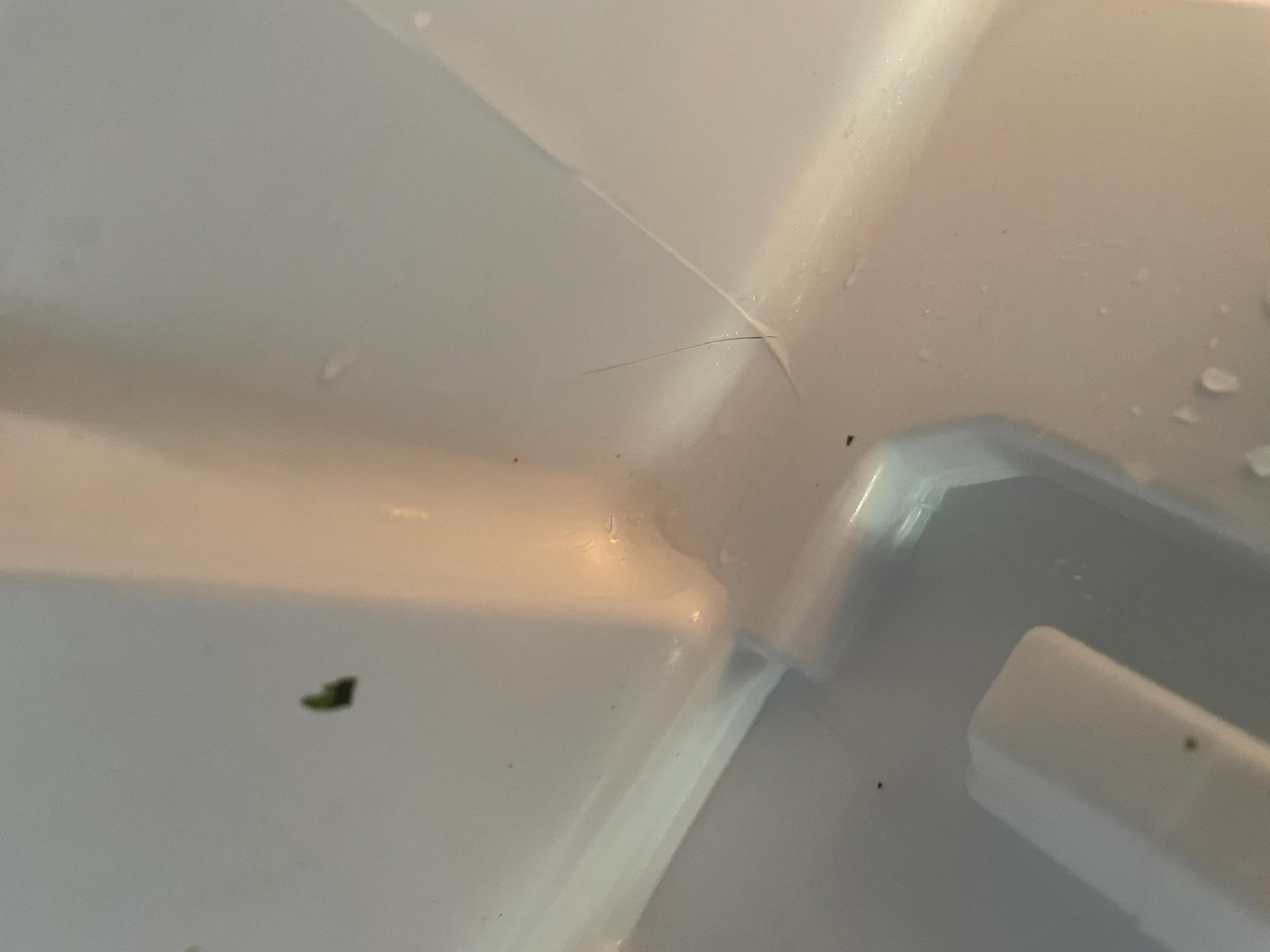 康佳冰箱质量怎样,康佳冰箱为啥质量很差