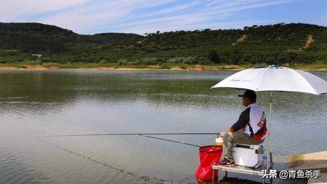 雷强钓黑鱼技巧教学视频,雷强钓黑鱼用什么饵
