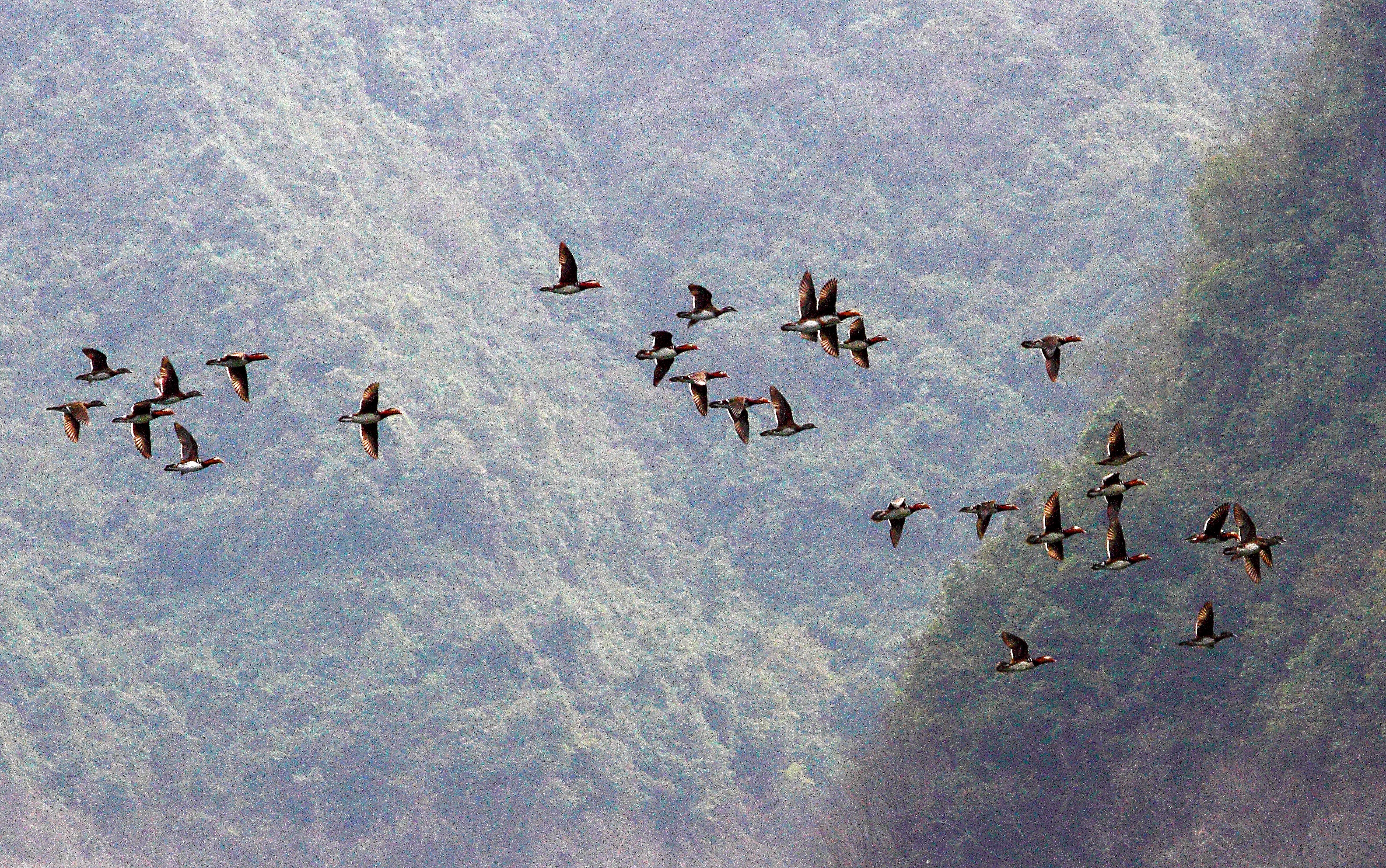 天堂纳木错完整版,天堂圣湖