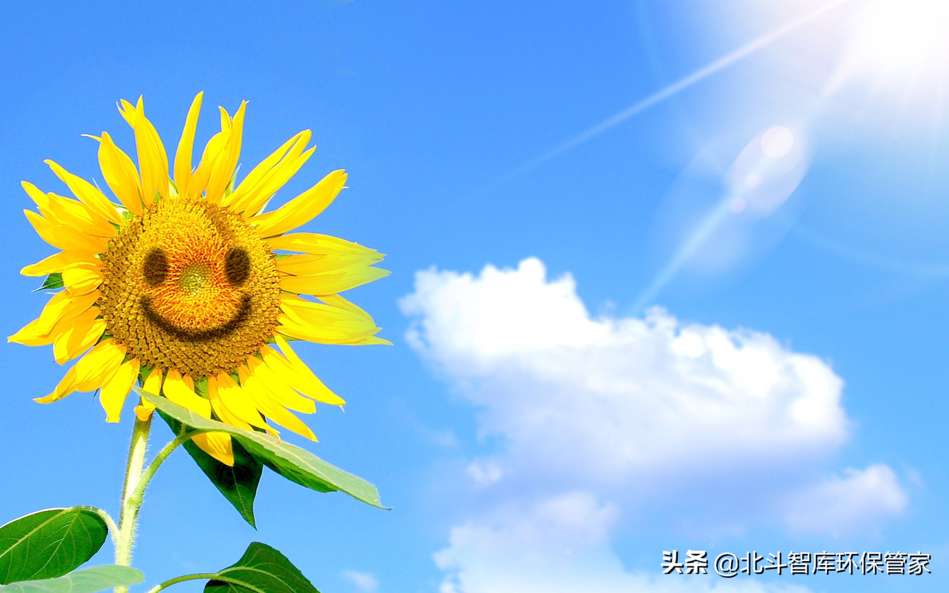 臭氧污染可以修复地球臭氧层吗,臭氧属于空气污染吗