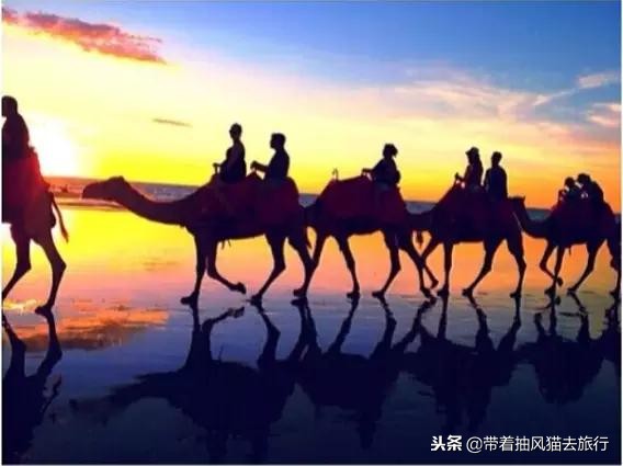 澳大利亚极致之旅,来澳大利亚必买