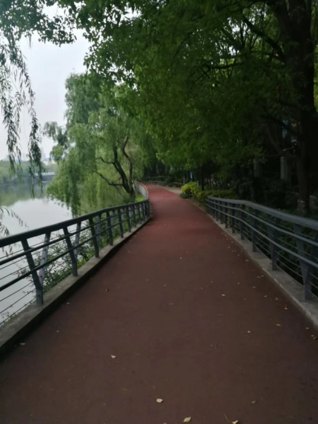 芒种种出新希望,芒种和幸福播种