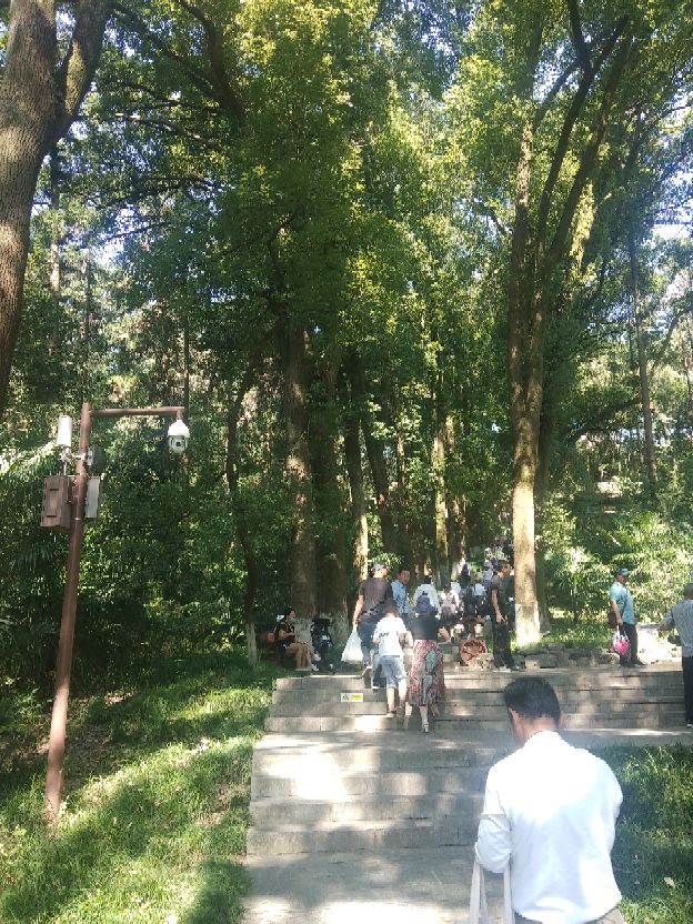 襄阳人苞谷味在臆想中的古隆中卧龙岗居于何地?