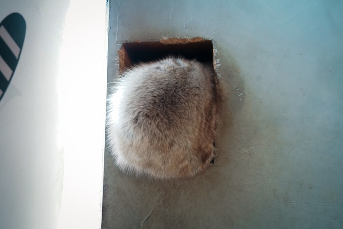 新手怎么逛免税店攻略,50家免税店最划算攻略在此