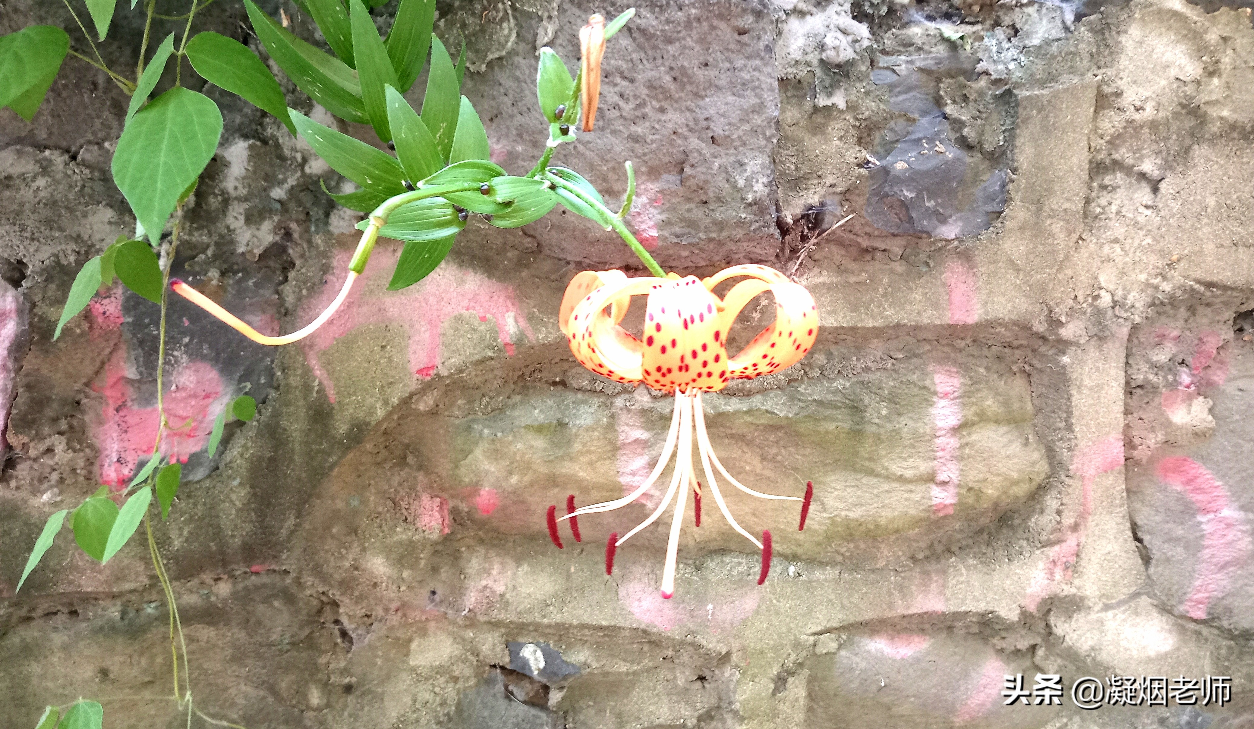 围炉夜话灯下话家常,围炉话家常做法视频