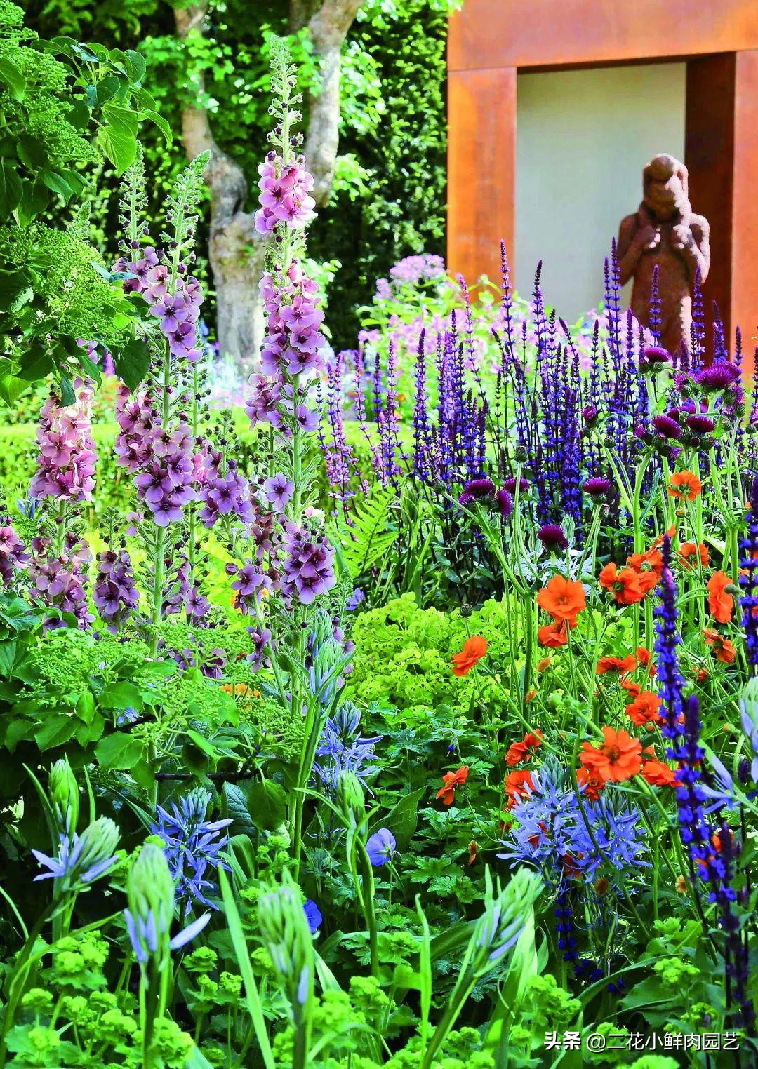 鍥壓鑺卞崏绉嶆鐭ヨ瘑鍏ラ棬,鑺卞崏鍥壓濡備綍鍏ラ棬