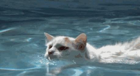 2024款胜达和汉兰达区别,第四代胜达沉浸体验