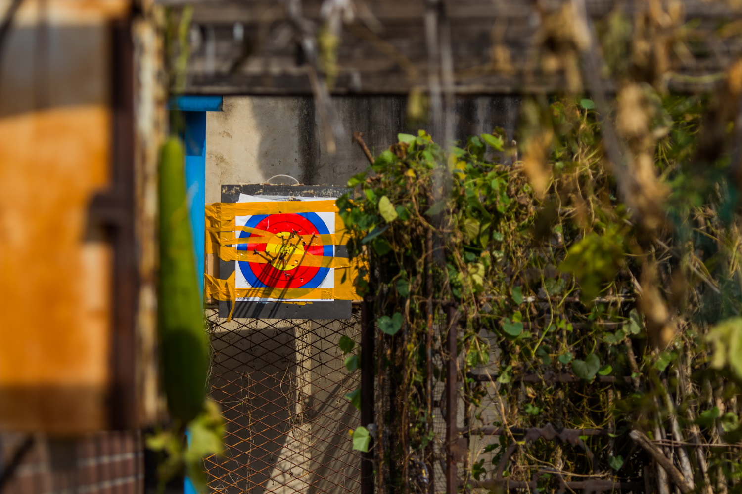 国产复合弓新手推荐,测试复合弓威力到底有多大