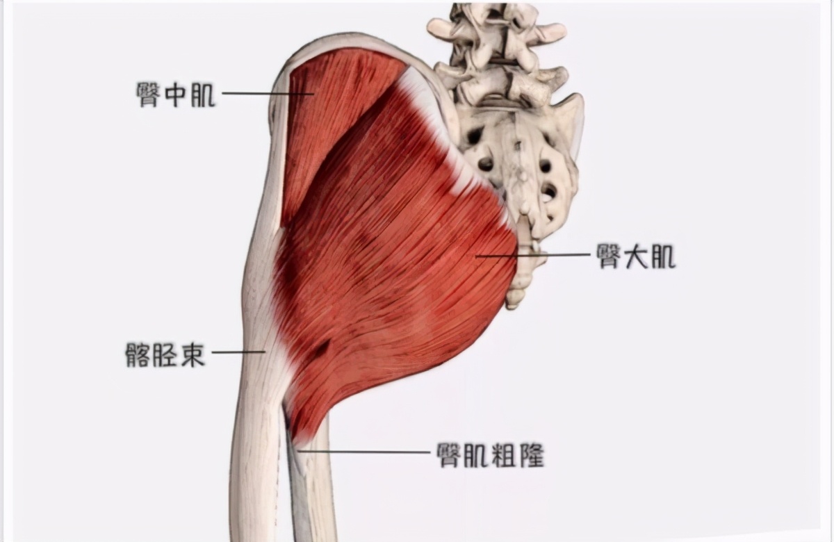 久坐后腰骶骨疼的厉害,久坐之后躺在床上腰骶部痛