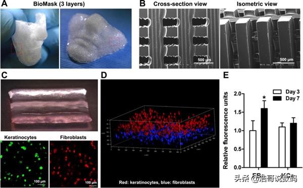 生物3d打印如何实现的,生物3d打印用什么材料