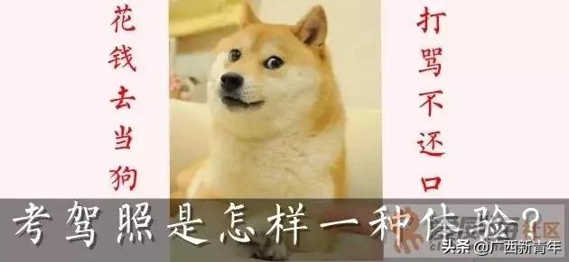 南宁大学生返校，4月报名学车前这10个问题要明白，尤其最后3个