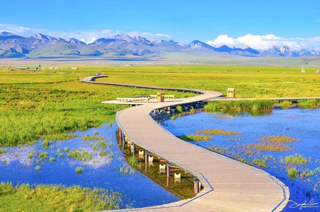 若诗若画若尔盖美景,若诗若画若尔盖文案