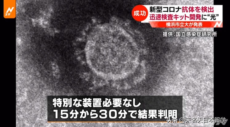 日本新冠抗原试剂盒,日本抗原检测试剂盒