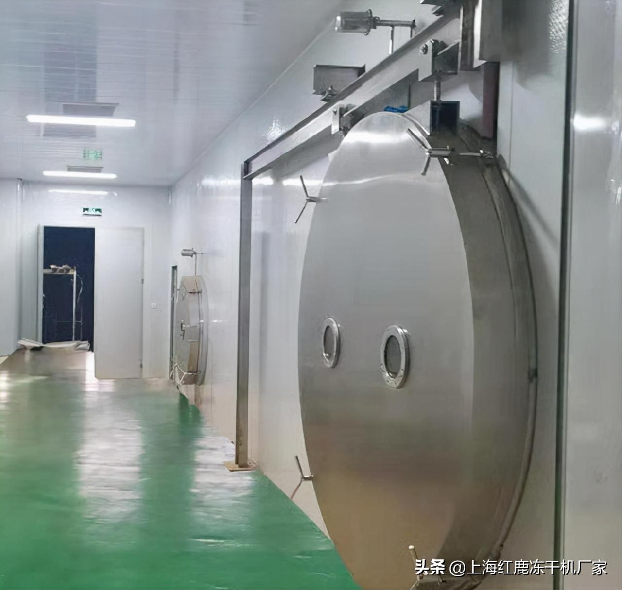 榴莲干冻干真实好评,冻干榴莲干是酥脆的吗