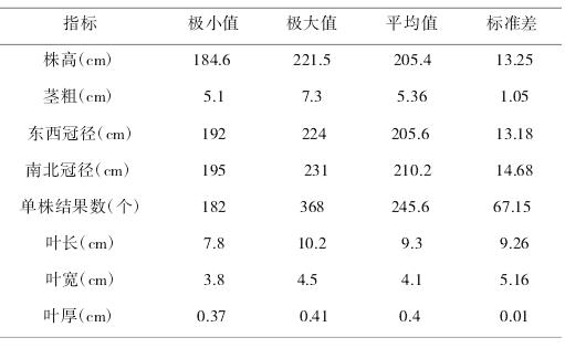 沃柑广西沃柑,晚熟椪柑种植前景