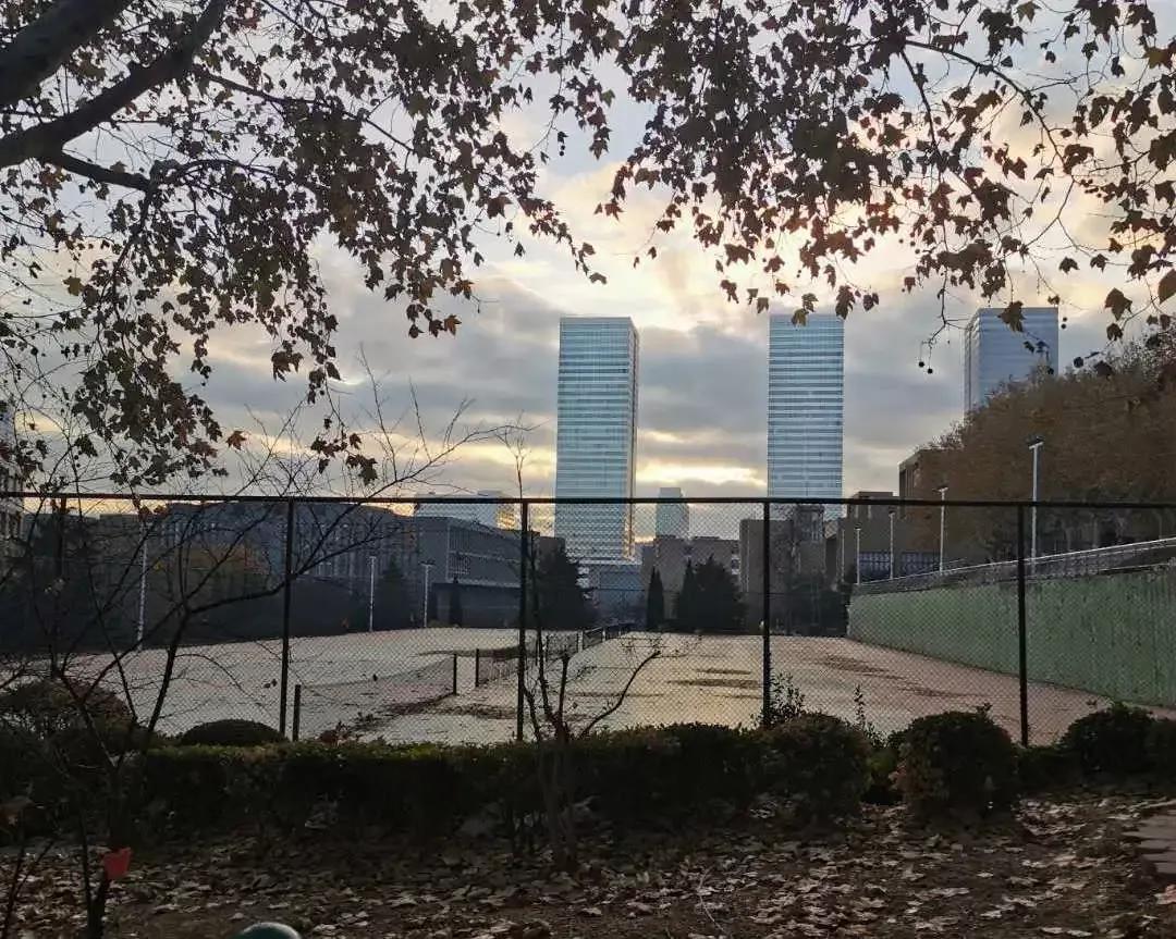 大连海事大学和辽宁省哪个级别高,大连海事大学辽宁省大学排名