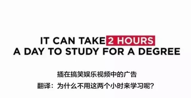 用动物做品牌宣传要版权吗,人工制作小动物宣传