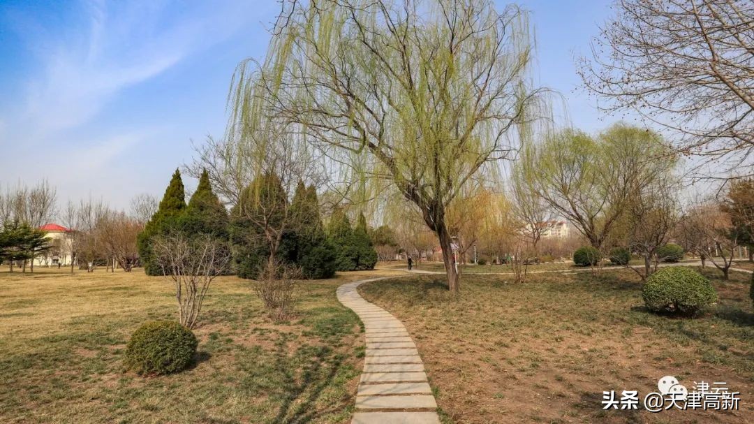 天津即将完工的公园,天津2022年四月开放的公园