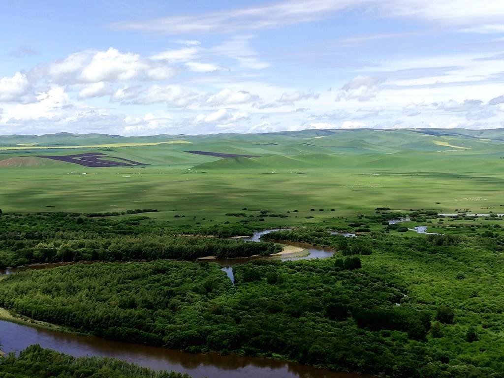 亚洲第一湿地额尔古纳游记,额尔古纳湿地野生观景点