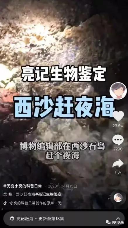 抖音7天吸粉111万，揭秘《无穷小亮》的涨粉科普日常