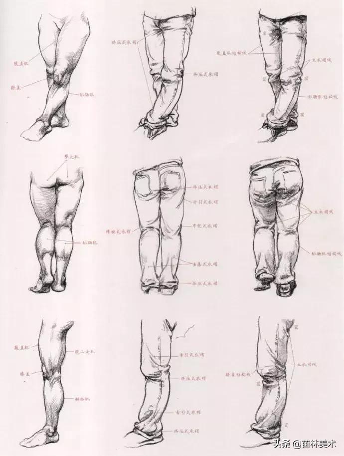 各种衣褶画法,衣褶不会上色