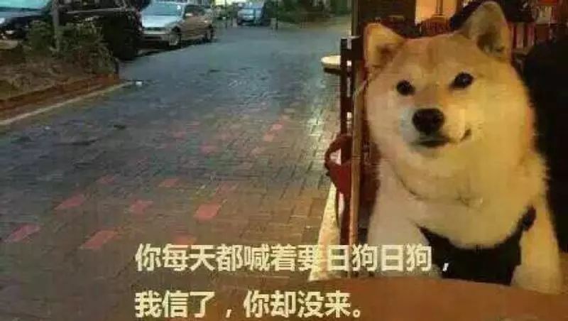 舔狗日常论一个舔狗可以有多舔,舔狗就是舔狗哪来那么多问题