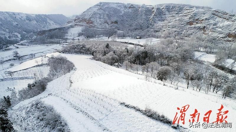 2月2日渭南手机早报