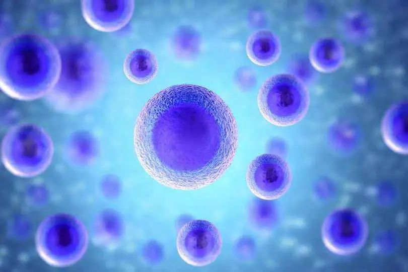 乳腺癌的靶向治疗,乳腺癌靶向药价格