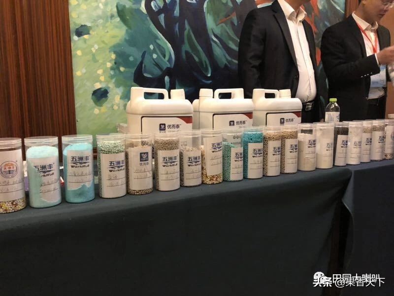 赋能新科技，肥效是王道——五洲丰2019新品交流会在烟台顺利召开