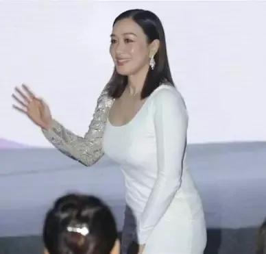 钟丽缇试管成功视频,钟丽缇48岁备孕成功案例