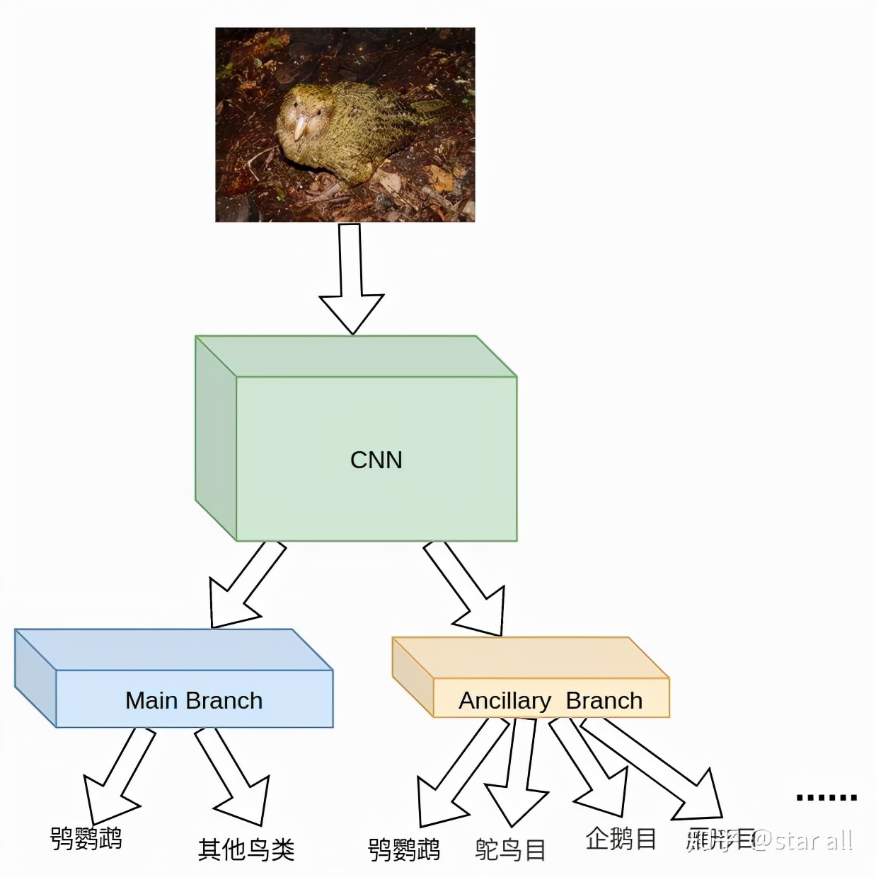 如何讲解模型,模型先验符号怎么确定