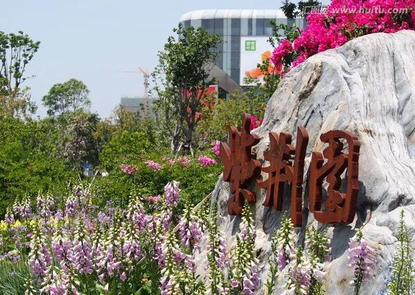 深圳花海公园地址在哪里,深圳中心河公园花海